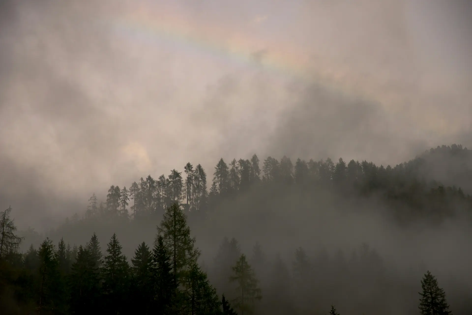 The Solar-Powered Solution to Improved Indoor Air Quality Year-Round