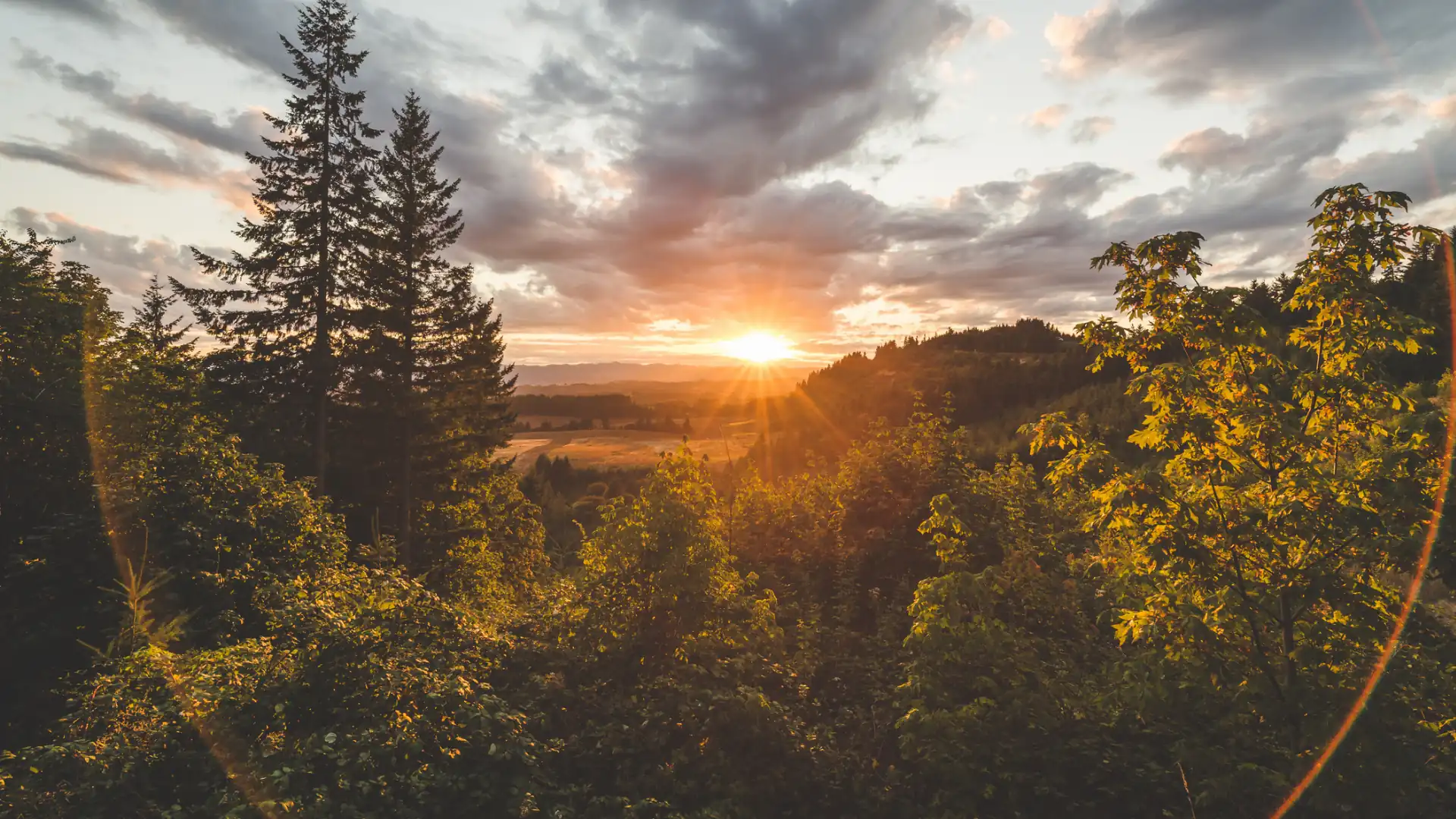 Claim Your 30% Solar Tax Credit Before It’s Gone