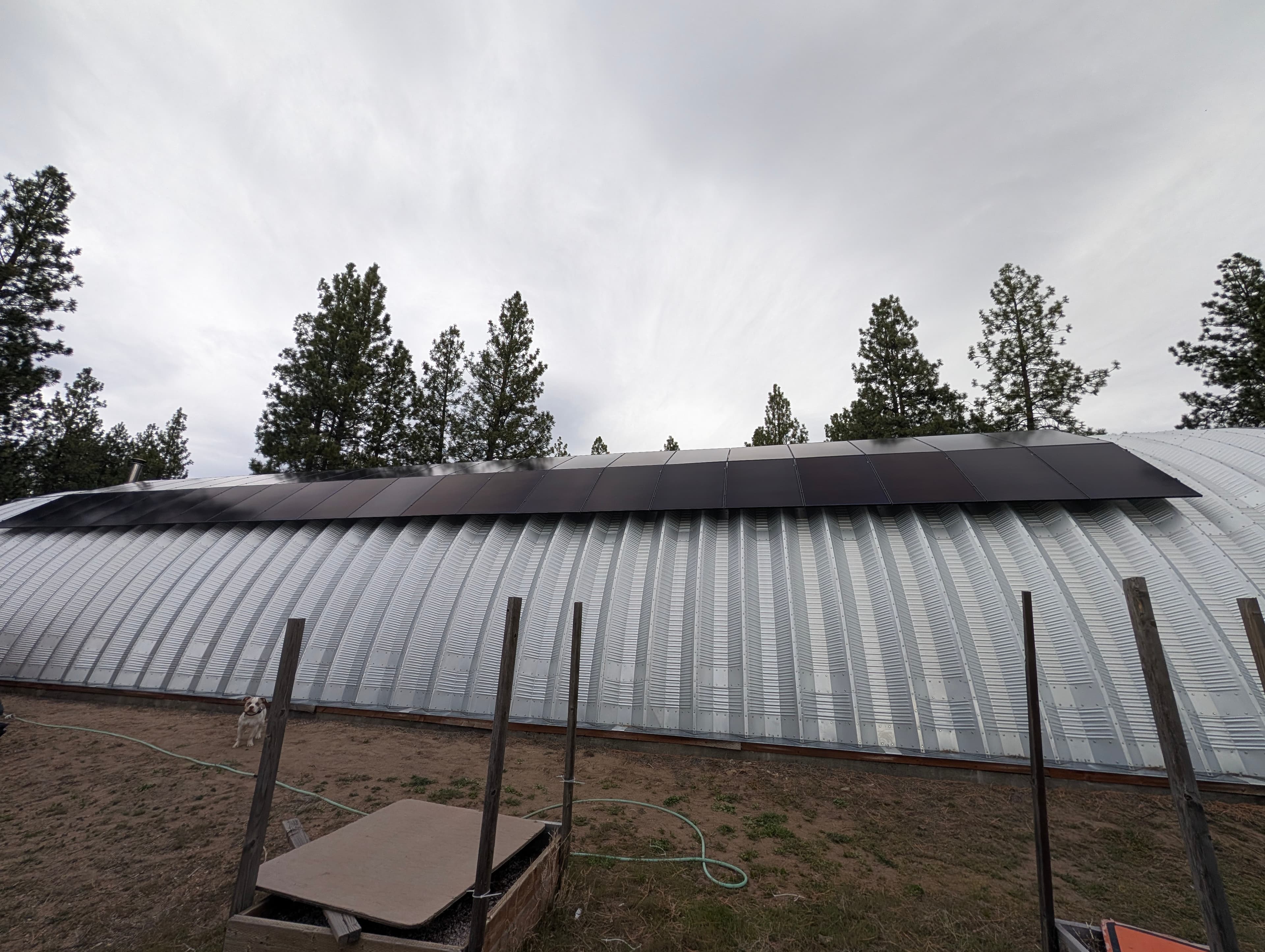 Black solar panels on a curved corrugated metal roof with pine trees under cloudy sky